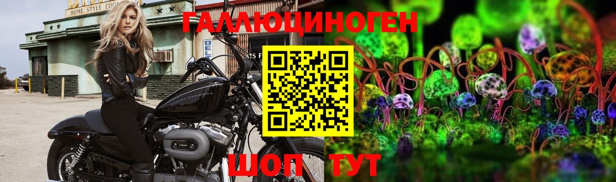 Псилоцибиновые грибы MAGIC MUSHROOMS Шелехов